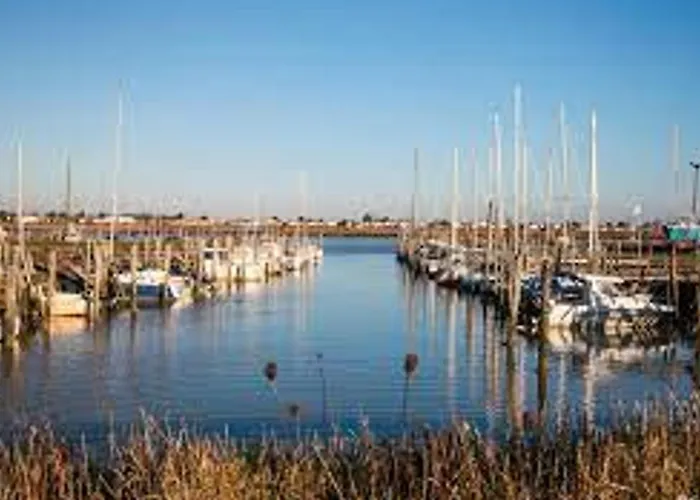 Maison Rénovée Proche Plage, Terrasse, Animaux Acceptés - Fr-1-194-360 La Faute-sur-Mer